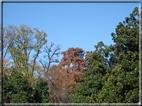 foto Giardini di Porta Venezia